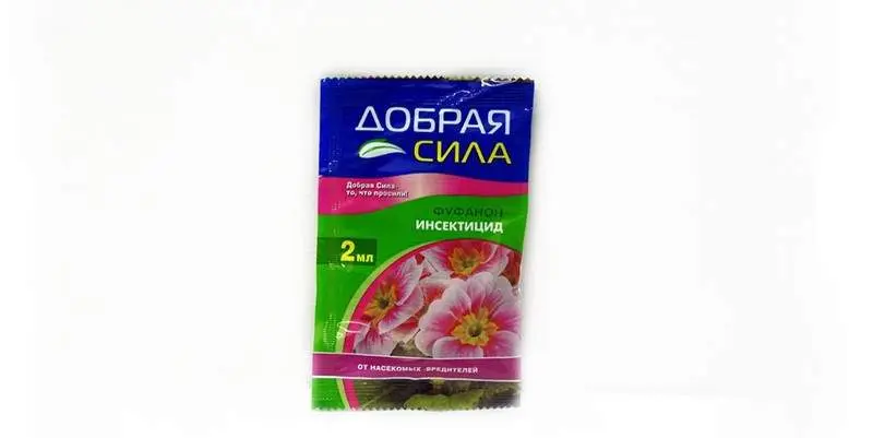 Инсектицид